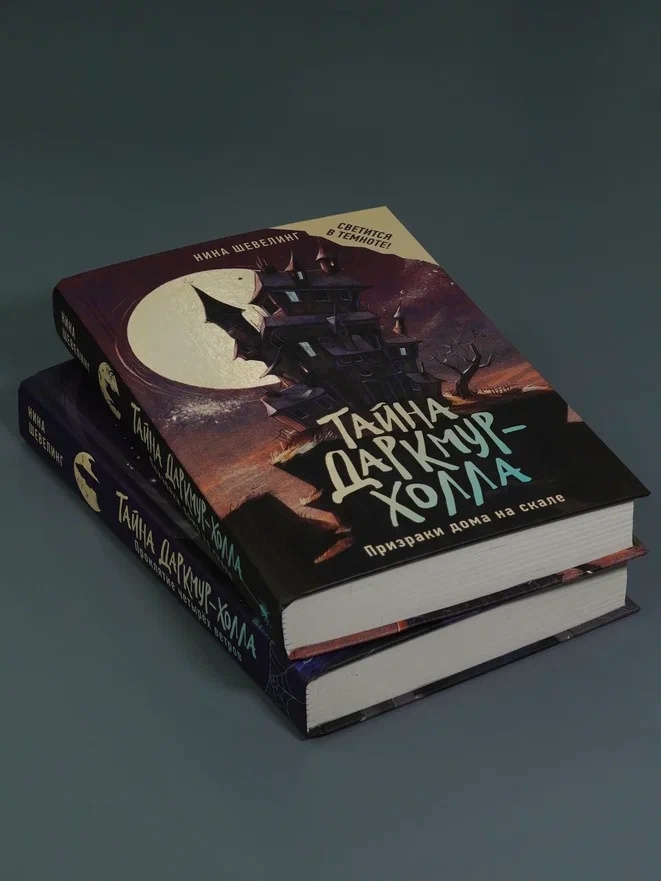 Промо материал к книге "Тайна Даркмур-Холла. Призраки дома на скале" №5