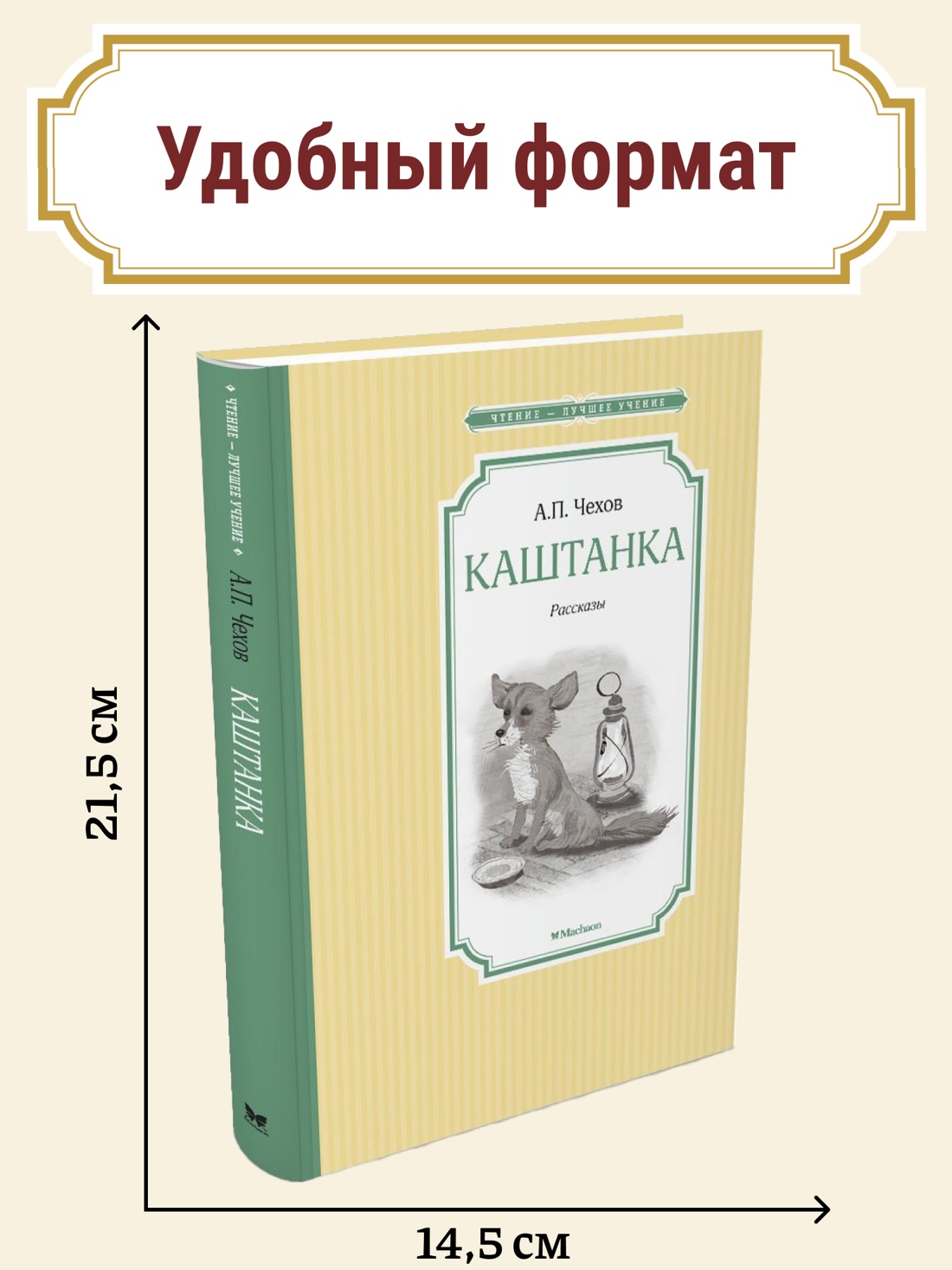 Промо материал к книге "Каштанка" №0