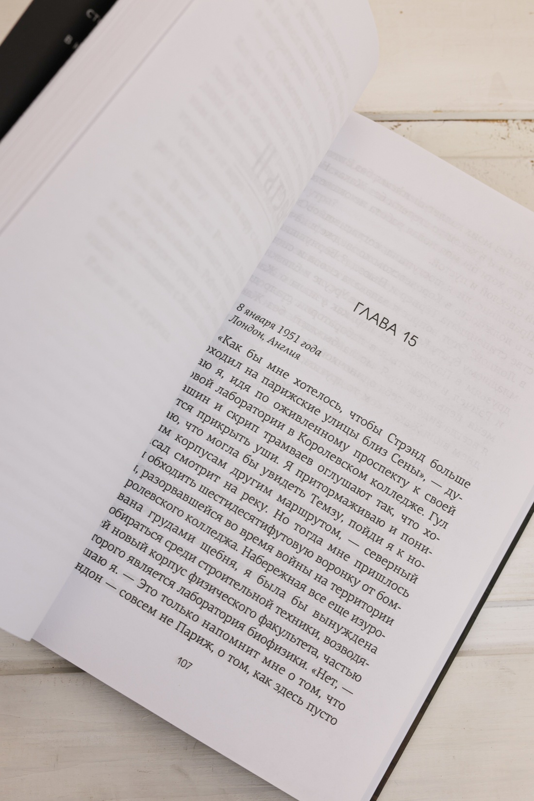 Промо материал к книге "Ее скрытый гений" №9