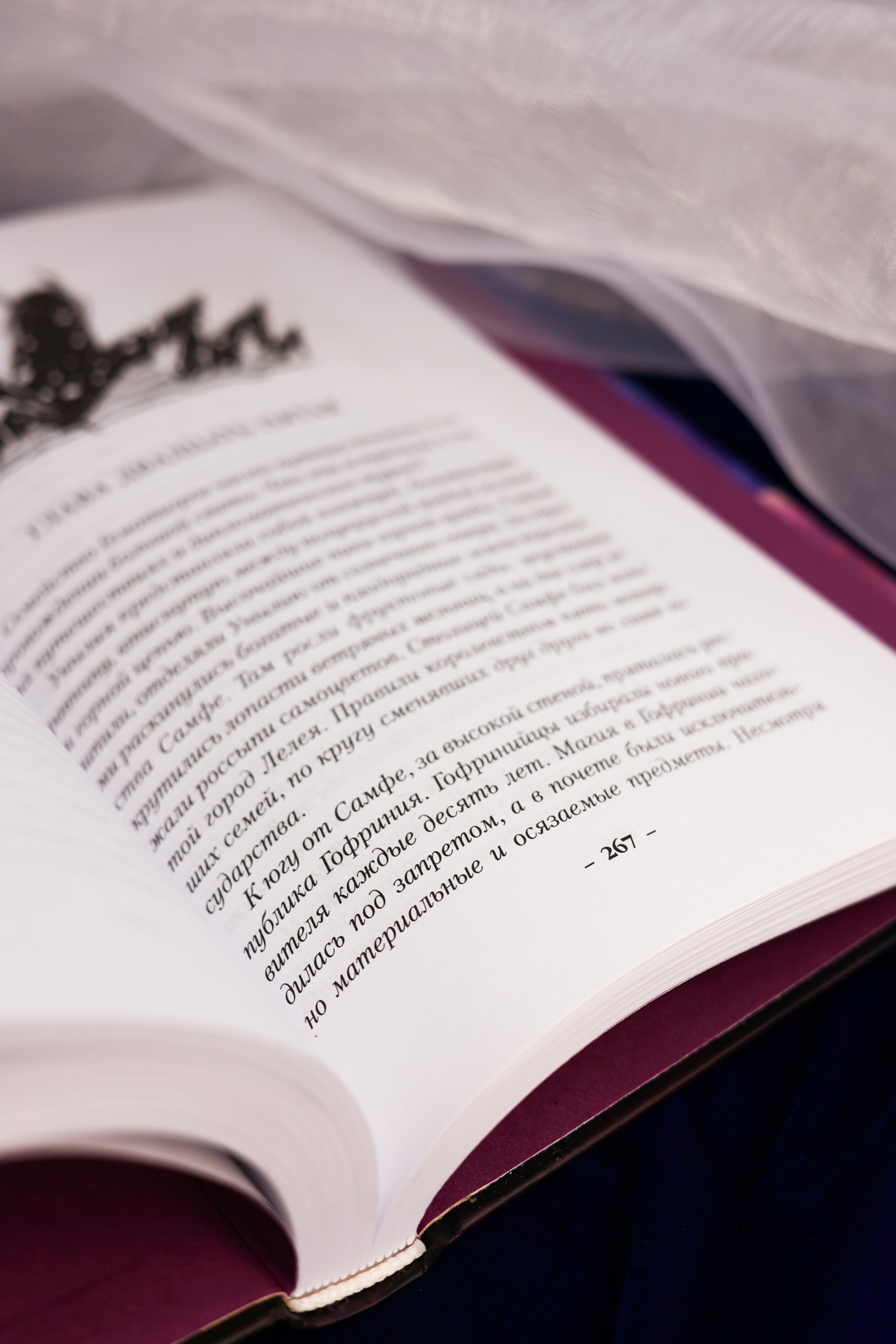 Промо материал к книге "Поднебесный дворец" №10