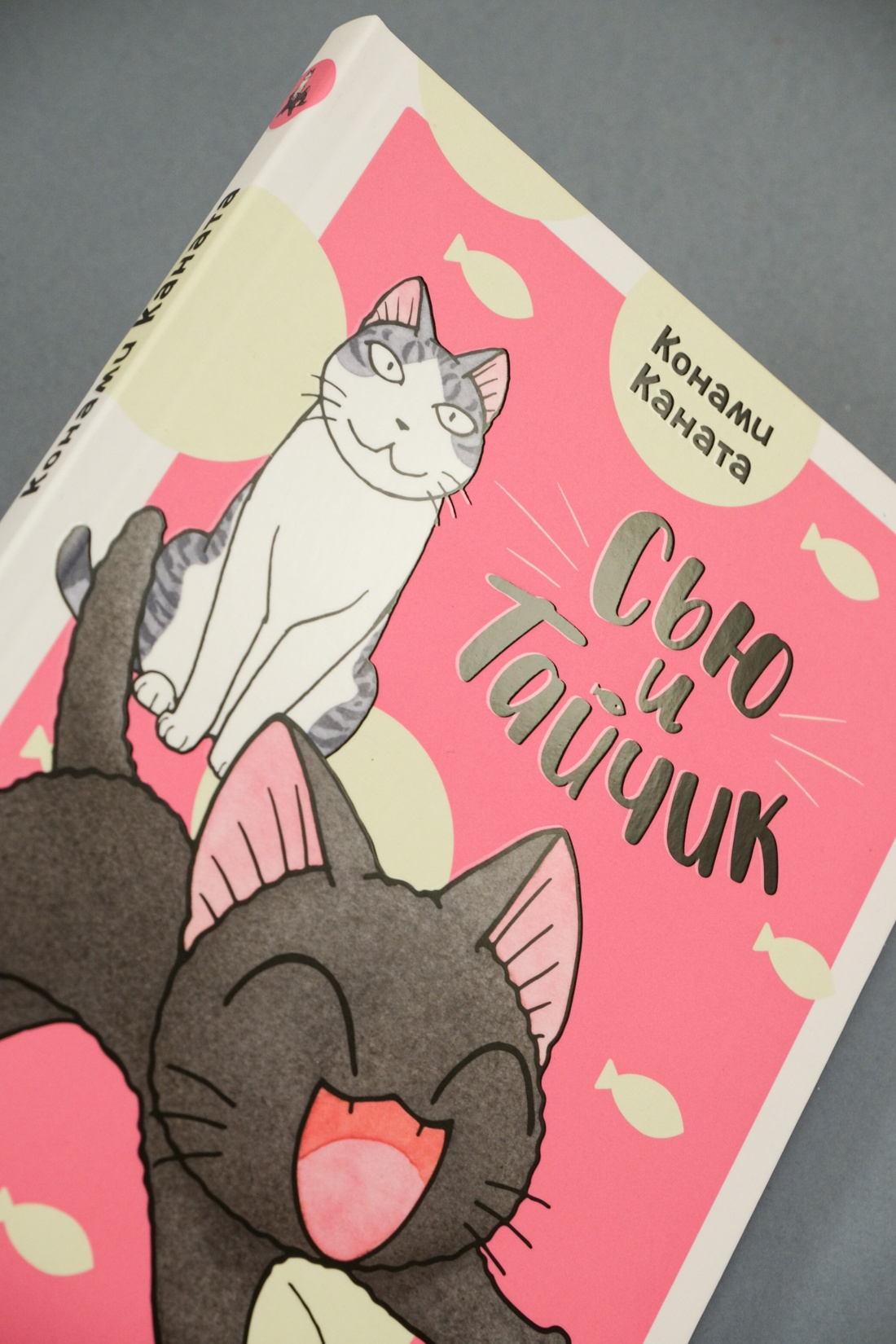 Промо материал к книге "Сью и Тайчик. Книга 2" №12