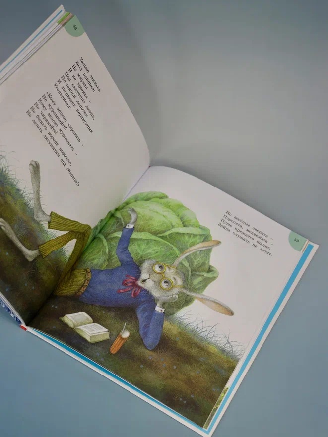 Промо материал к книге "Айболит и другие сказки (илл. Антоненкова)" №9