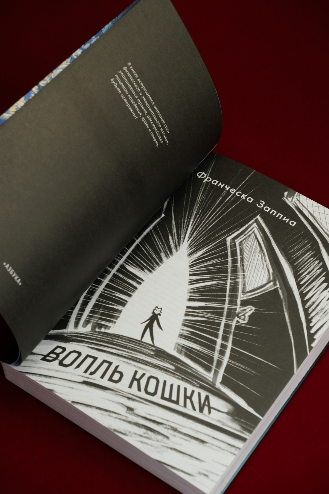 Промо материал к книге "Вопль кошки" №11