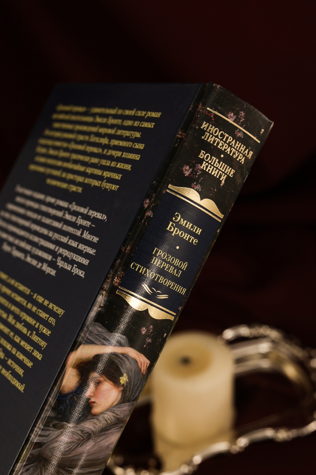 Промо материал к книге "Грозовой перевал. Стихотворения" №6