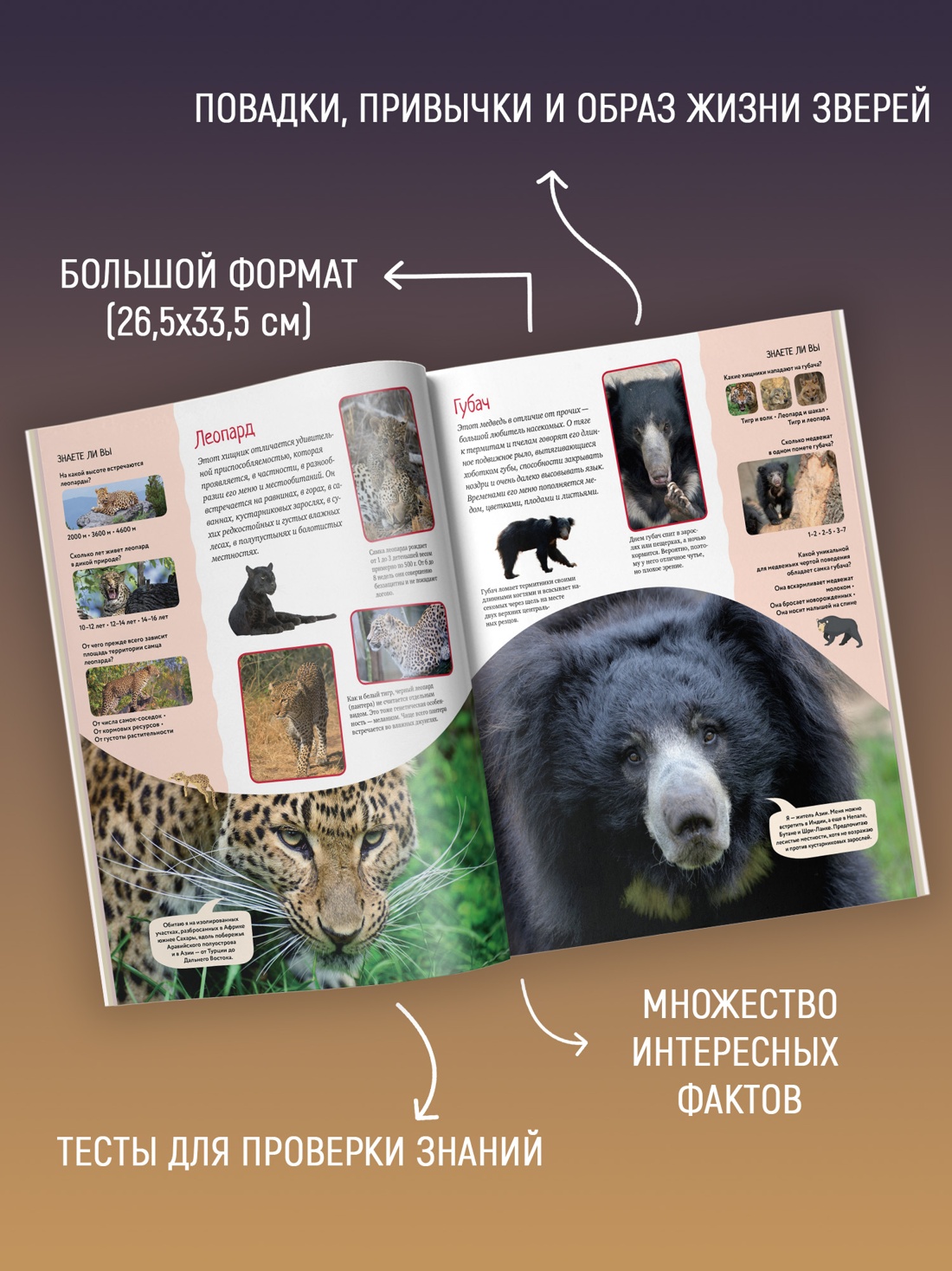 Промо материал к книге "Яркий мир животных" №1