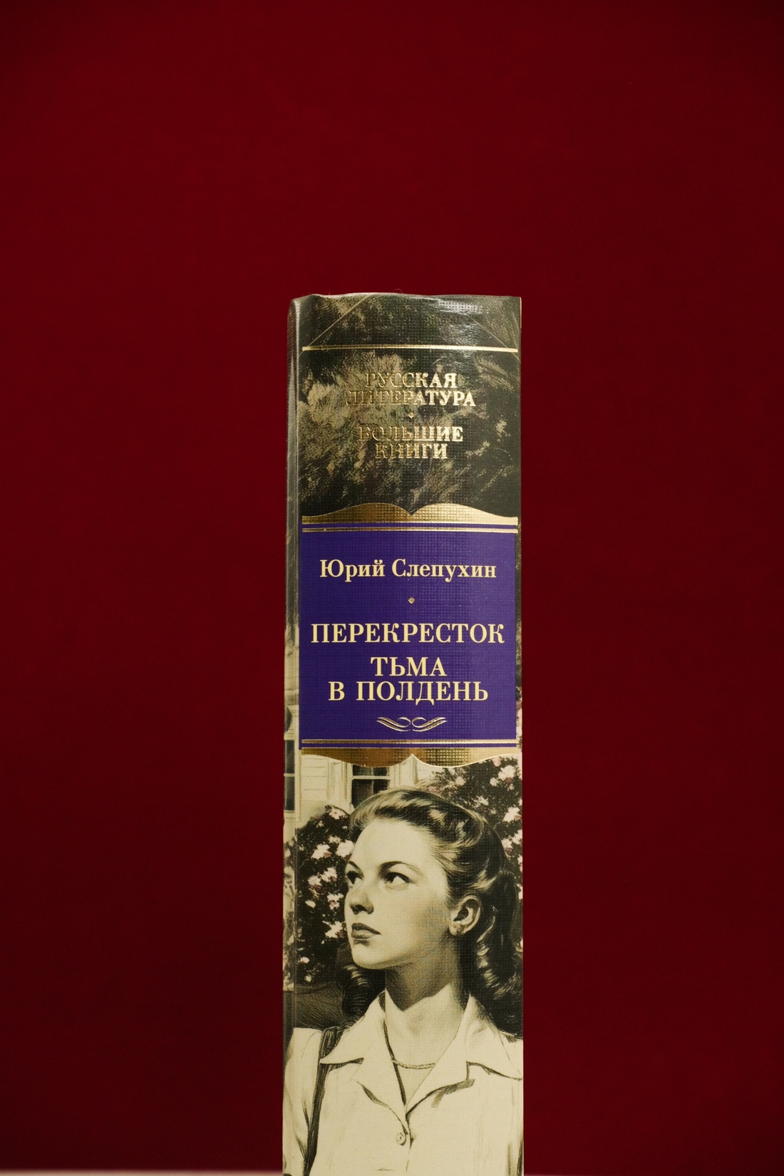 Промо материал к книге "Перекресток. Тьма в полдень" №5