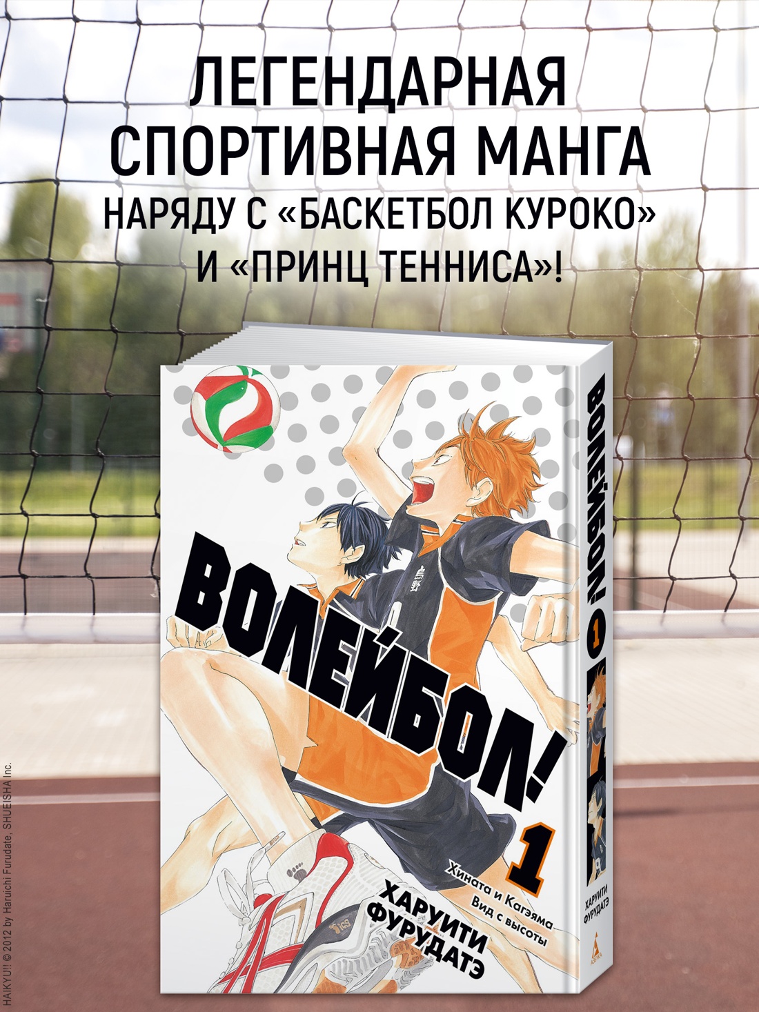 Промо материал к книге "Волейбол! Книга 1. Хината и Кагэяма. Вид с высоты" №0