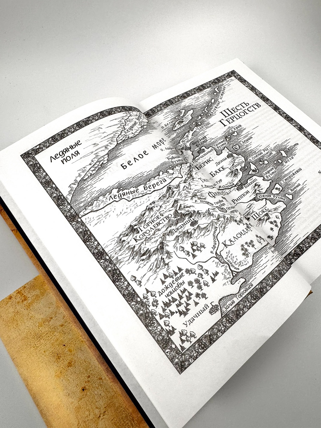 Промо материал к книге "Сага о Видящих. Книги 1 и 2. Ученик убийцы. Королевский убийца" №5