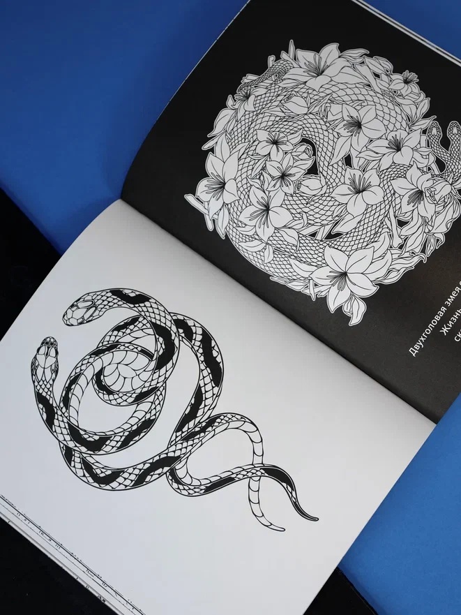 Промо материал к книге "Темная академия" №5