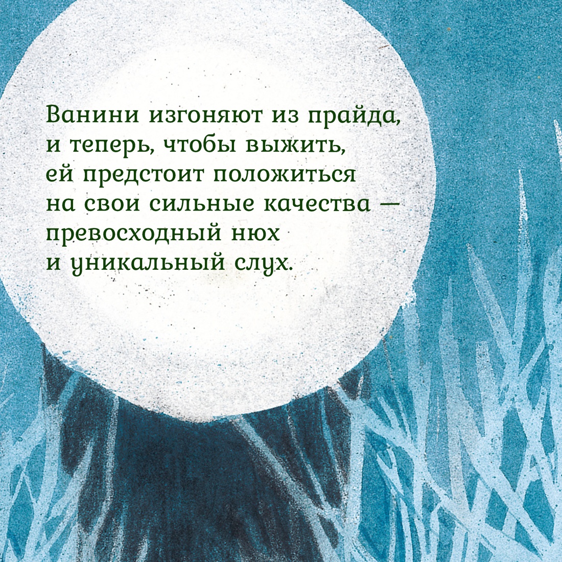 Промо материал к книге "Львёнок в саванне" №3