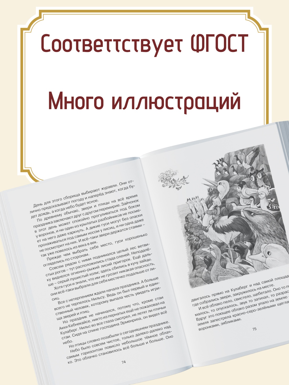Промо материал к книге "Чудесное путешествие Нильса с дикими гусями" №1