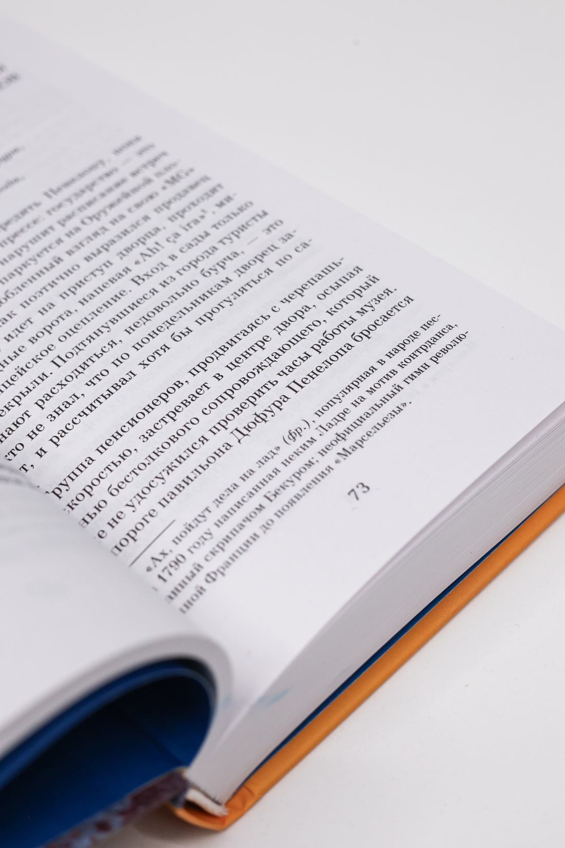Промо материал к книге "Загадка Версальского дворца" №12