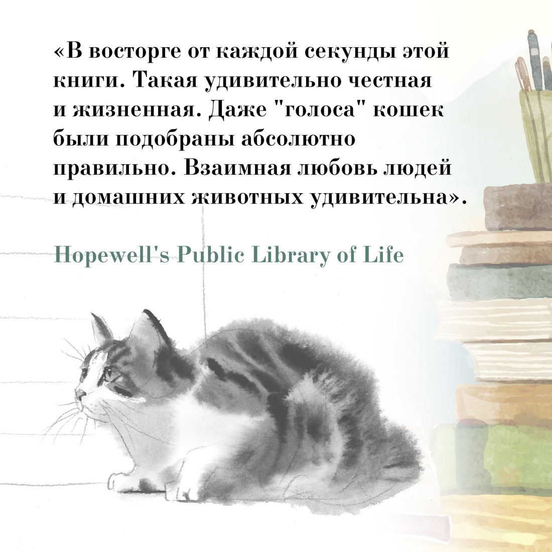 Промо материал к книге "Хроники странствующего кота" №5