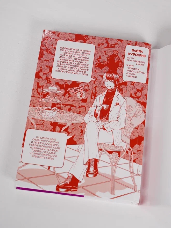 Промо материал к книге "Победная передача. Том 3" №5