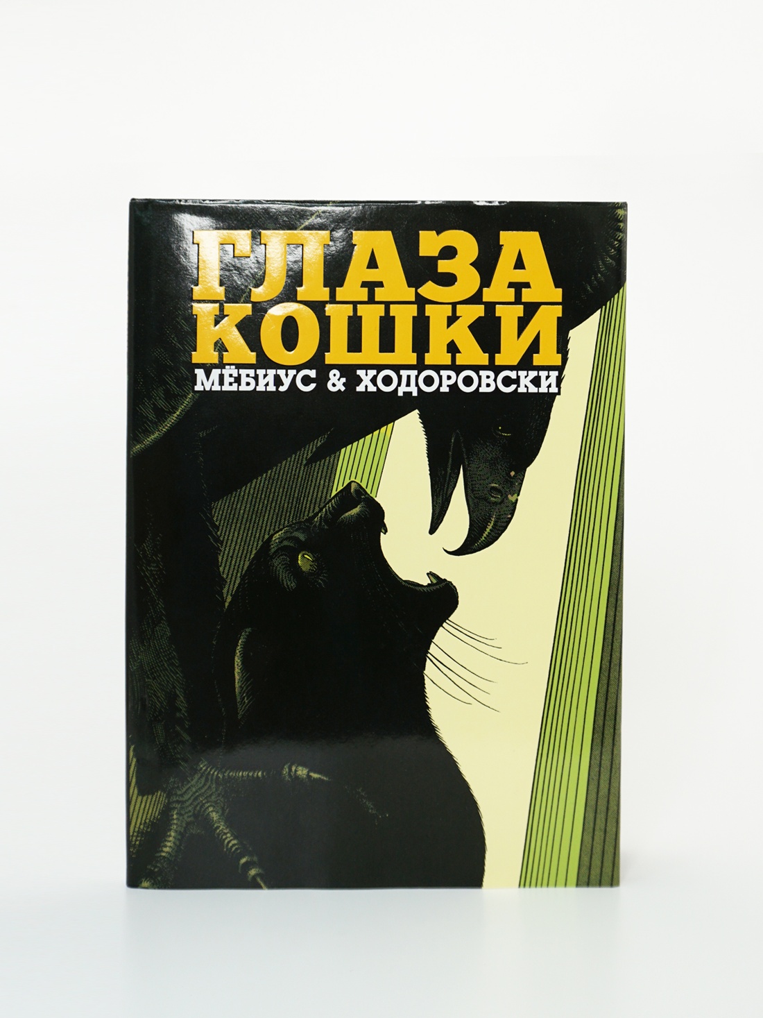 Промо материал к книге "Глаза кошки" №8