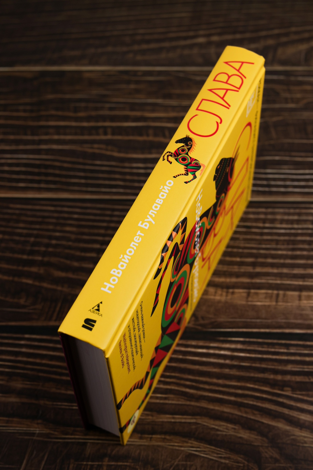 Промо материал к книге "Слава" №5