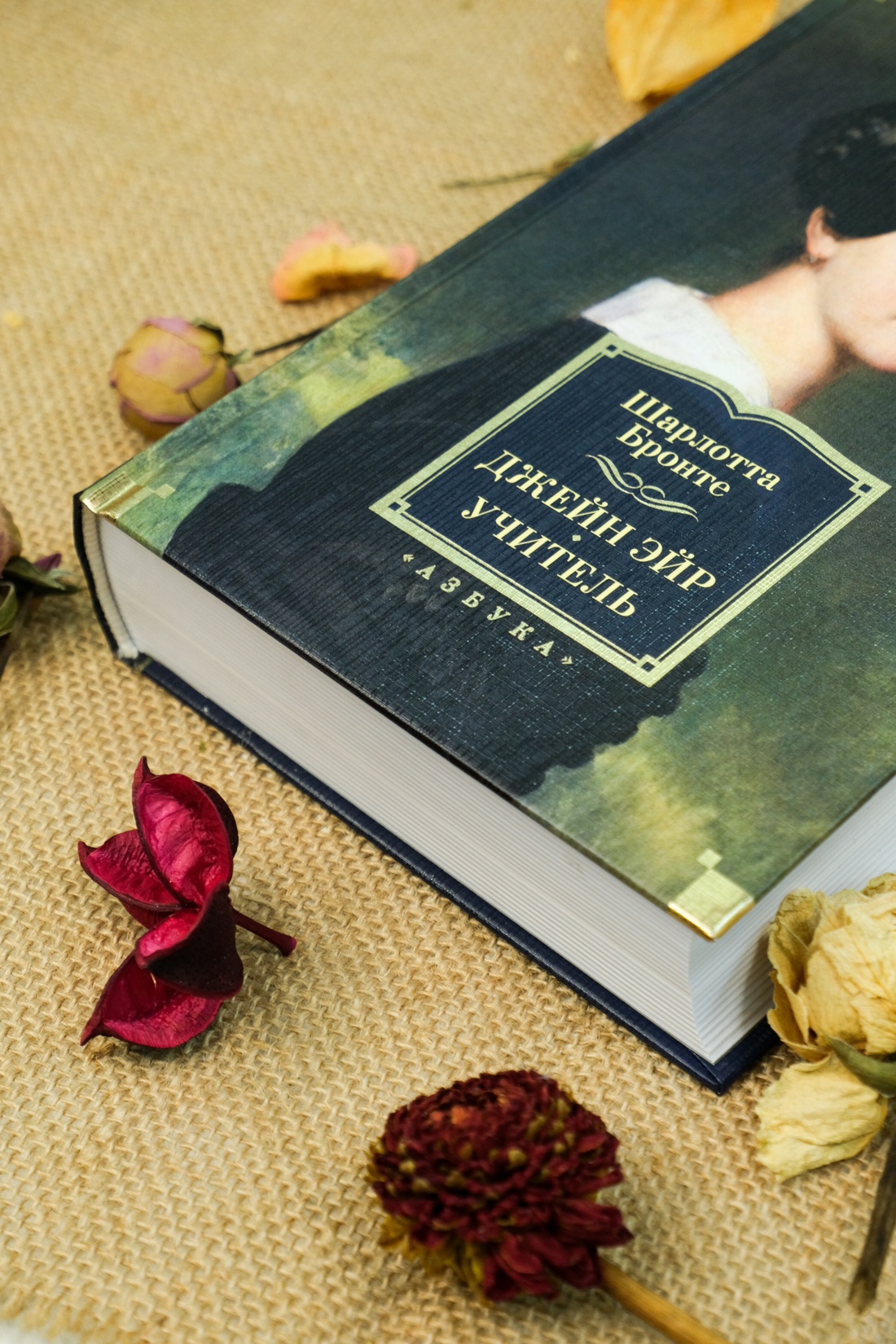 Промо материал к книге "Джейн Эйр. Учитель" №13