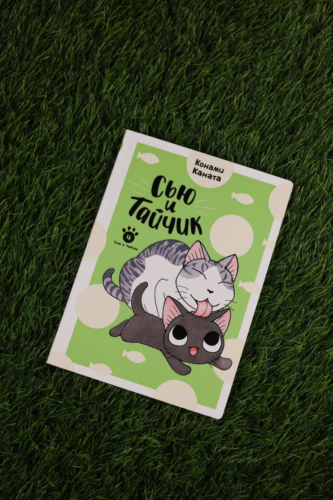 Промо материал к книге "Сью и Тайчик. Книга 4" №6