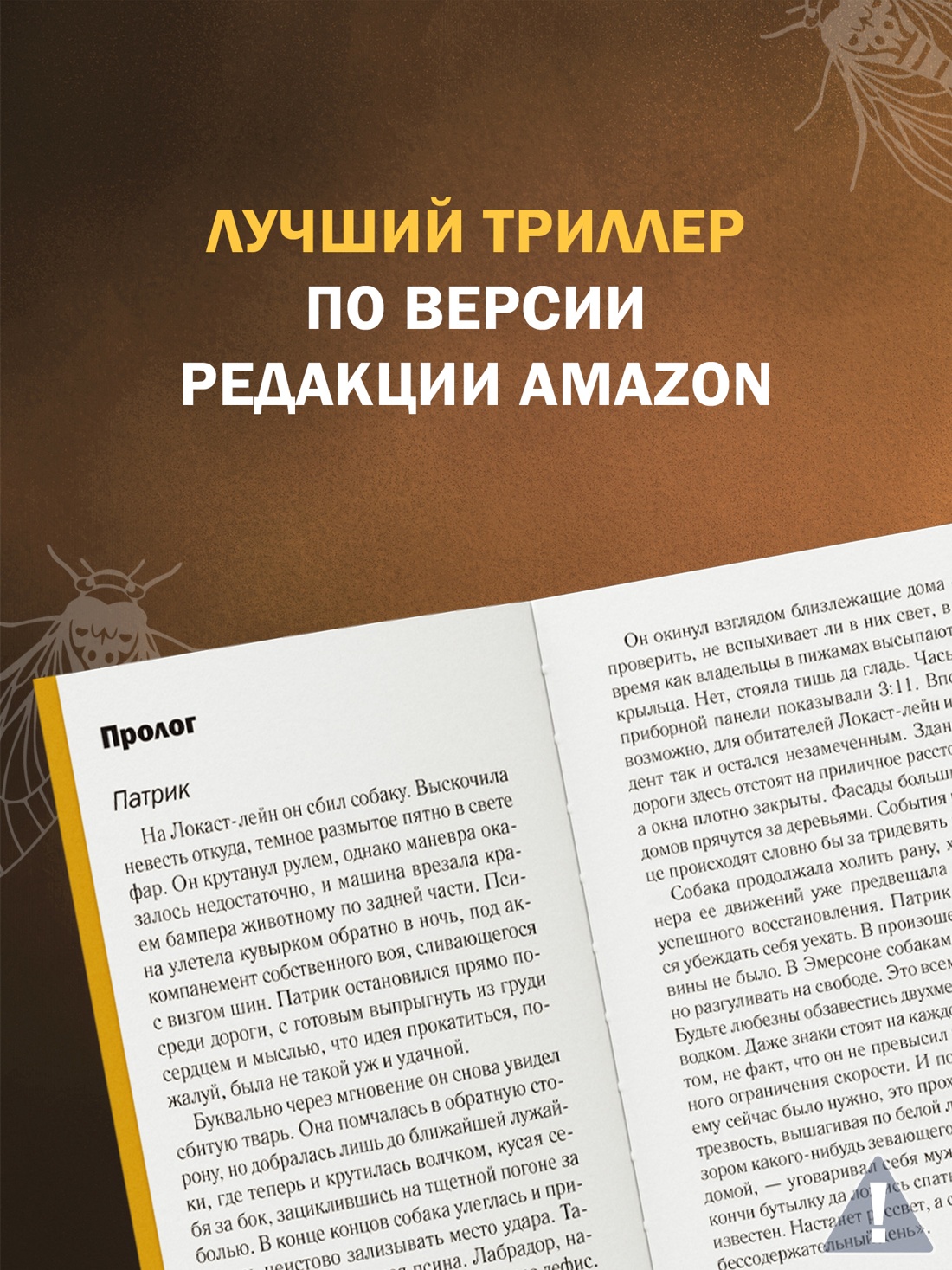 Промо материал к книге "Когда поют цикады" №2