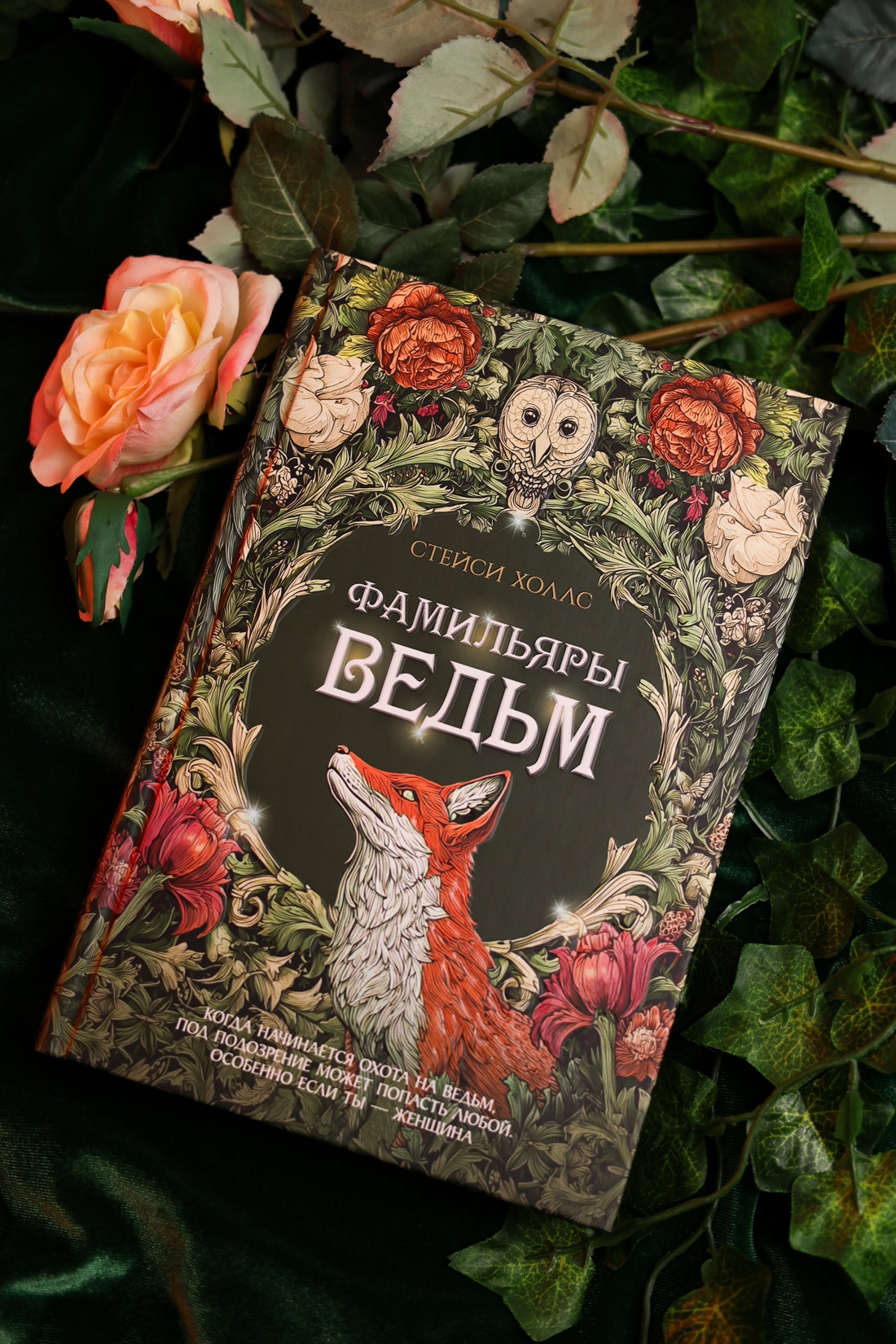Промо материал к книге "Фамильяры ведьм" №7