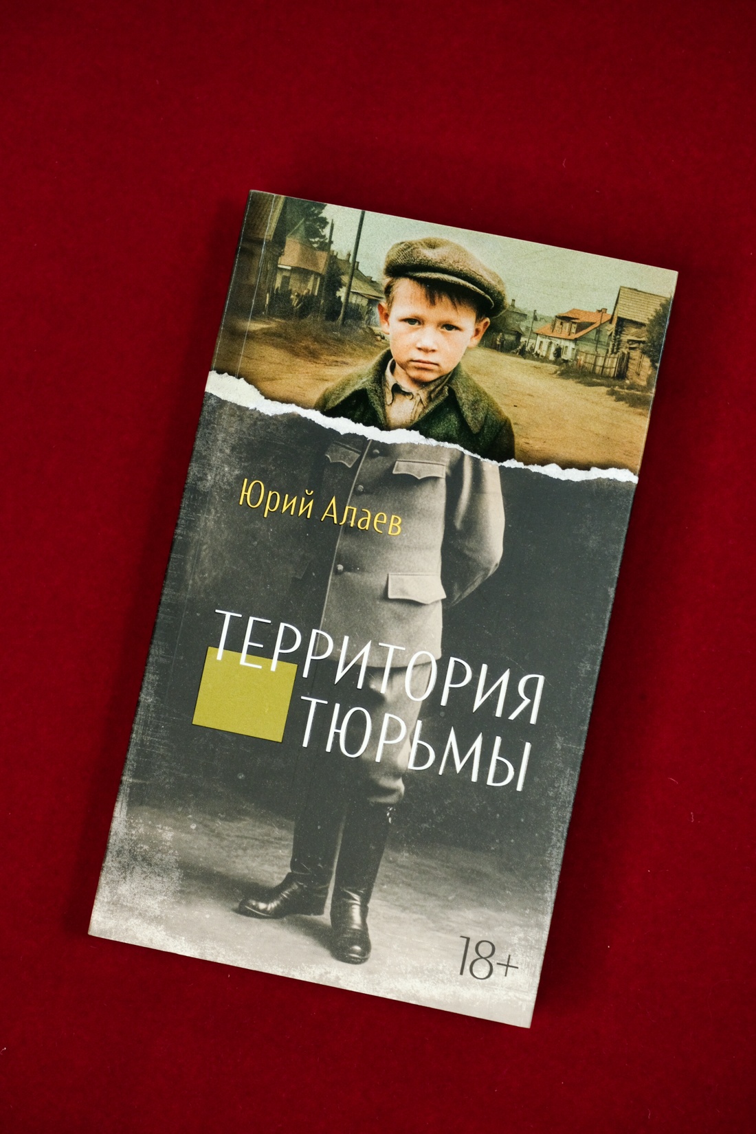 Промо материал к книге "Территория тюрьмы" №2