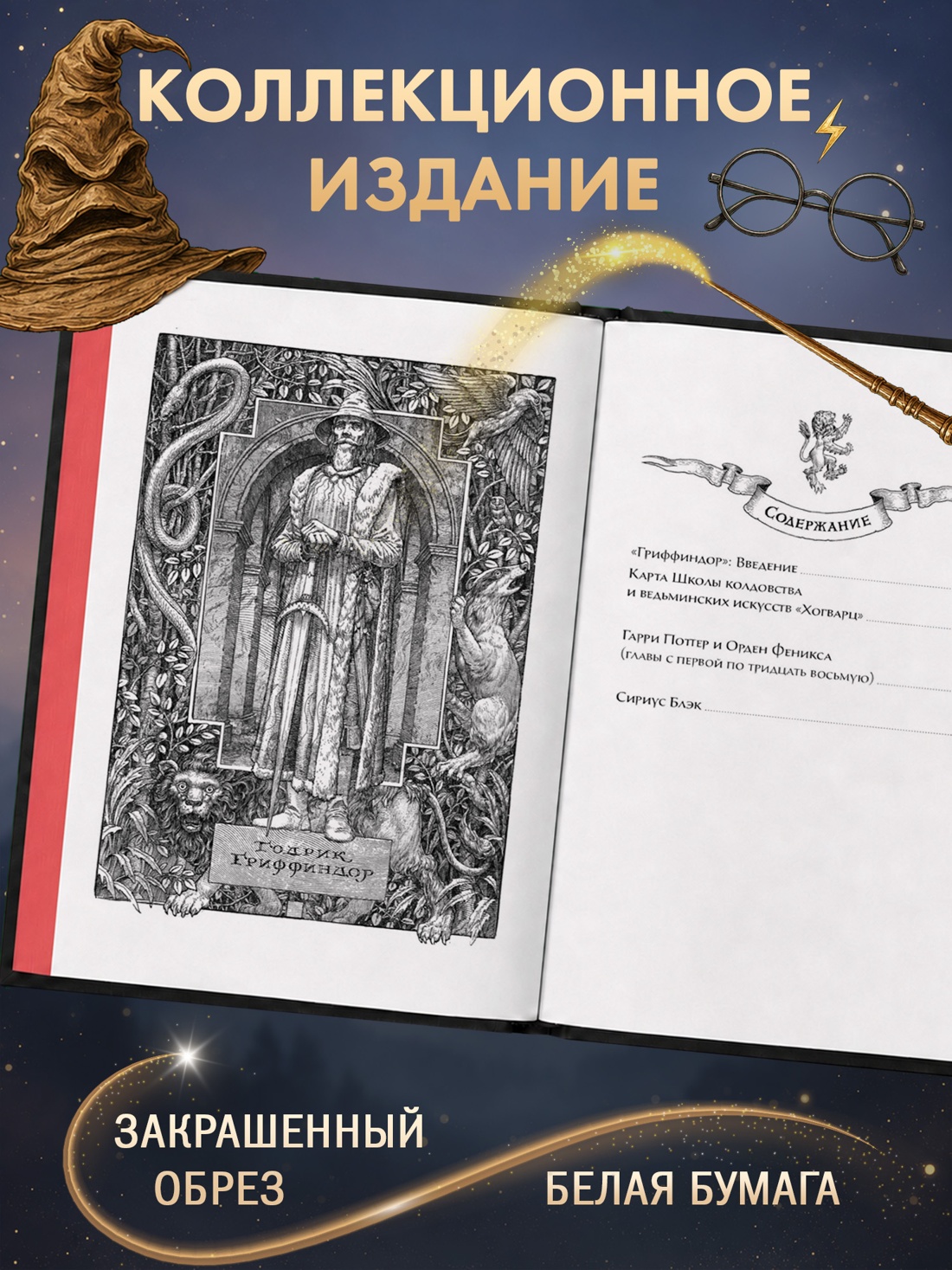 Промо материал к книге "Гарри Поттер и Орден Феникса (Гриффиндор)" №2