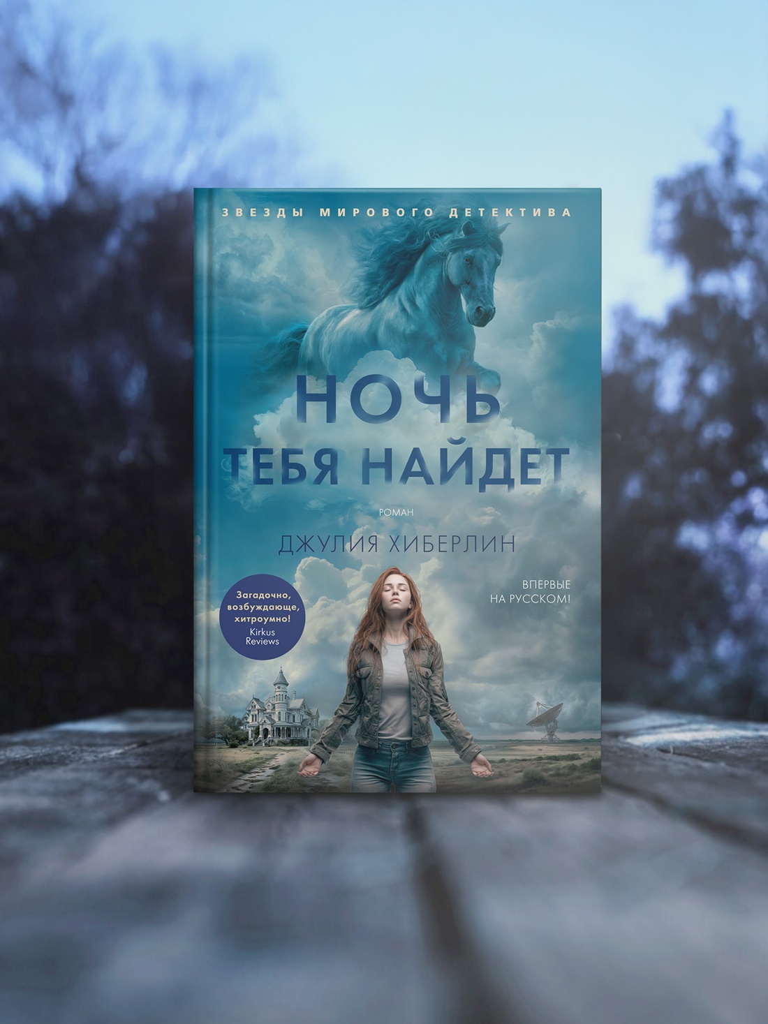 Промо материал к книге "Ночь тебя найдет" №3