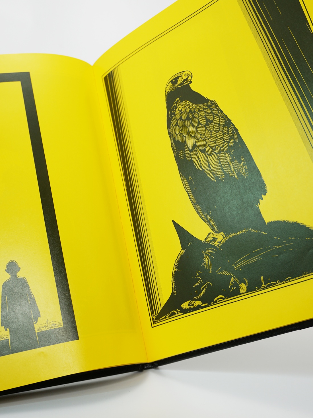 Промо материал к книге "Глаза кошки" №10