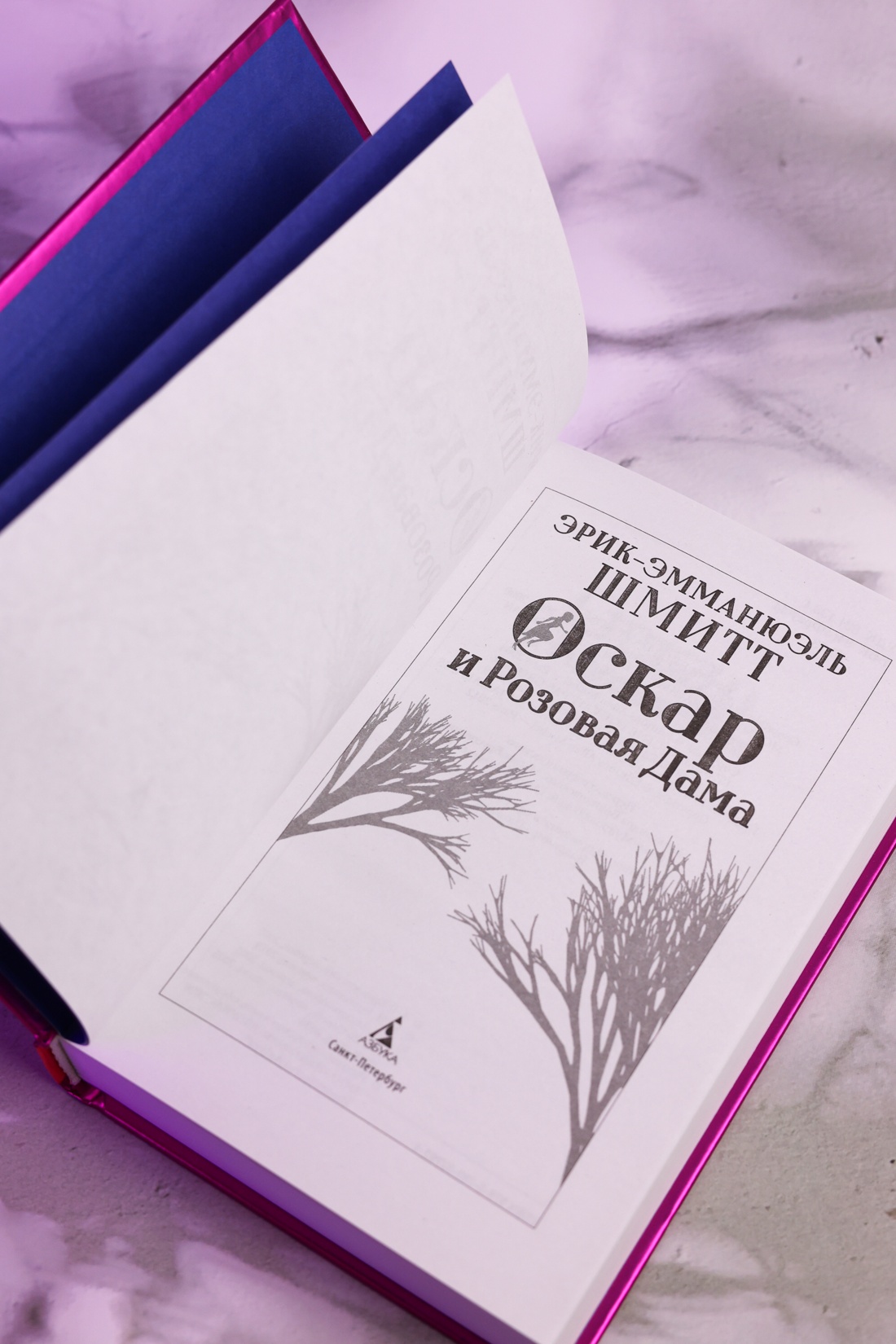 Промо материал к книге "Оскар и Розовая Дама (Настроение читать)" №7
