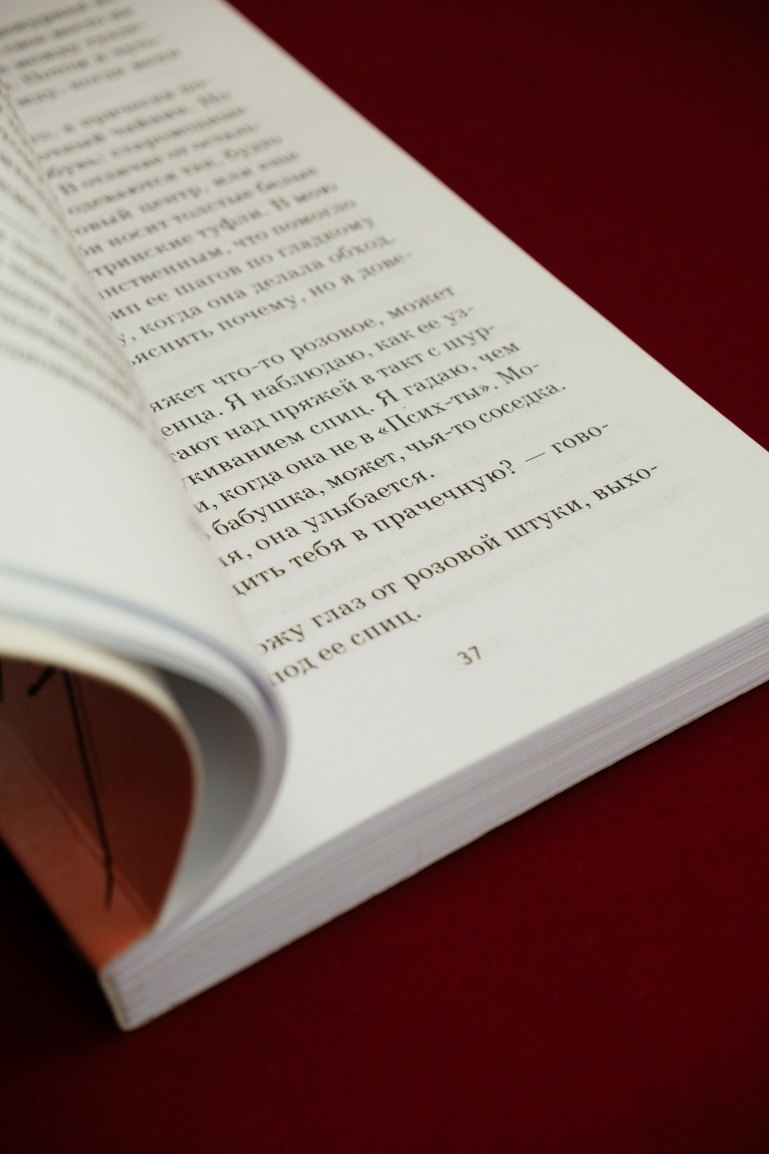 Промо материал к книге "Порез (в суперобложке)" №11