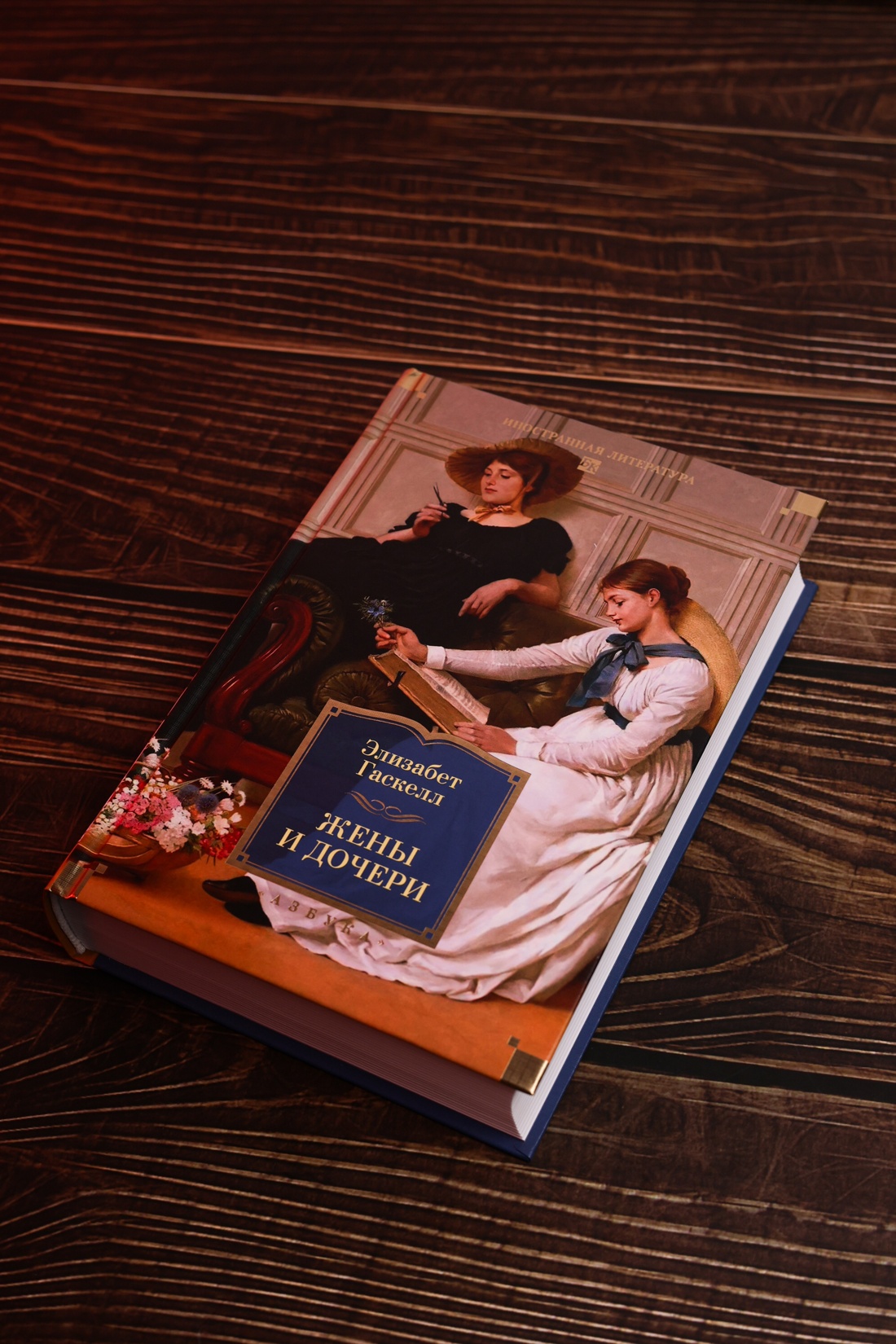Промо материал к книге "Жены и дочери (с иллюстрациями)" №4