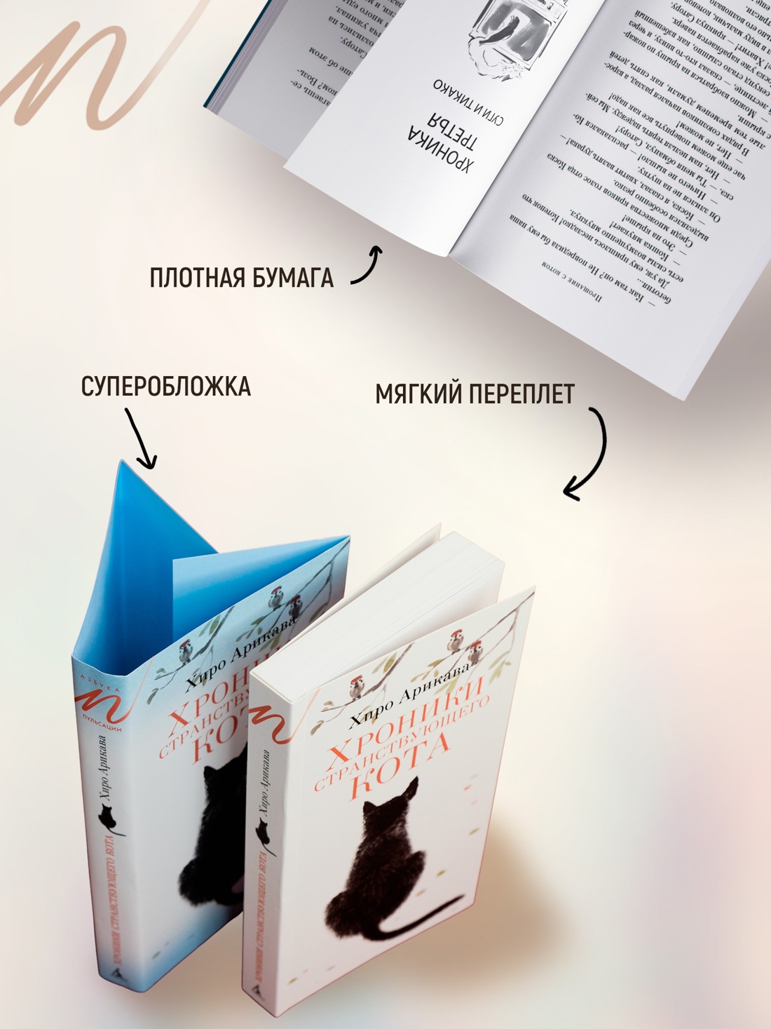 Промо материал к книге "Хроники странствующего кота" №2