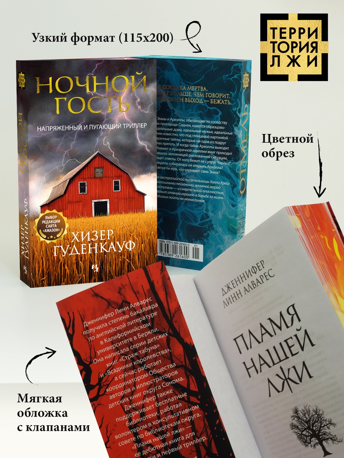 Промо материал к книге "Ночной гость" №2