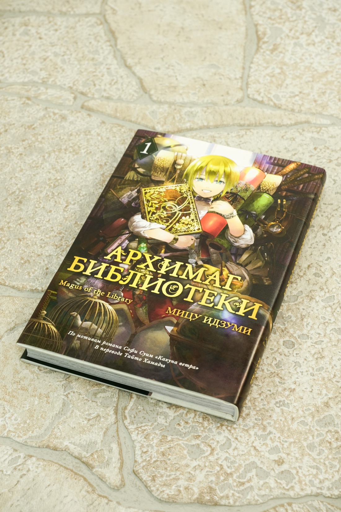Промо материал к книге "Архимаг библиотеки. Книга 1" №5