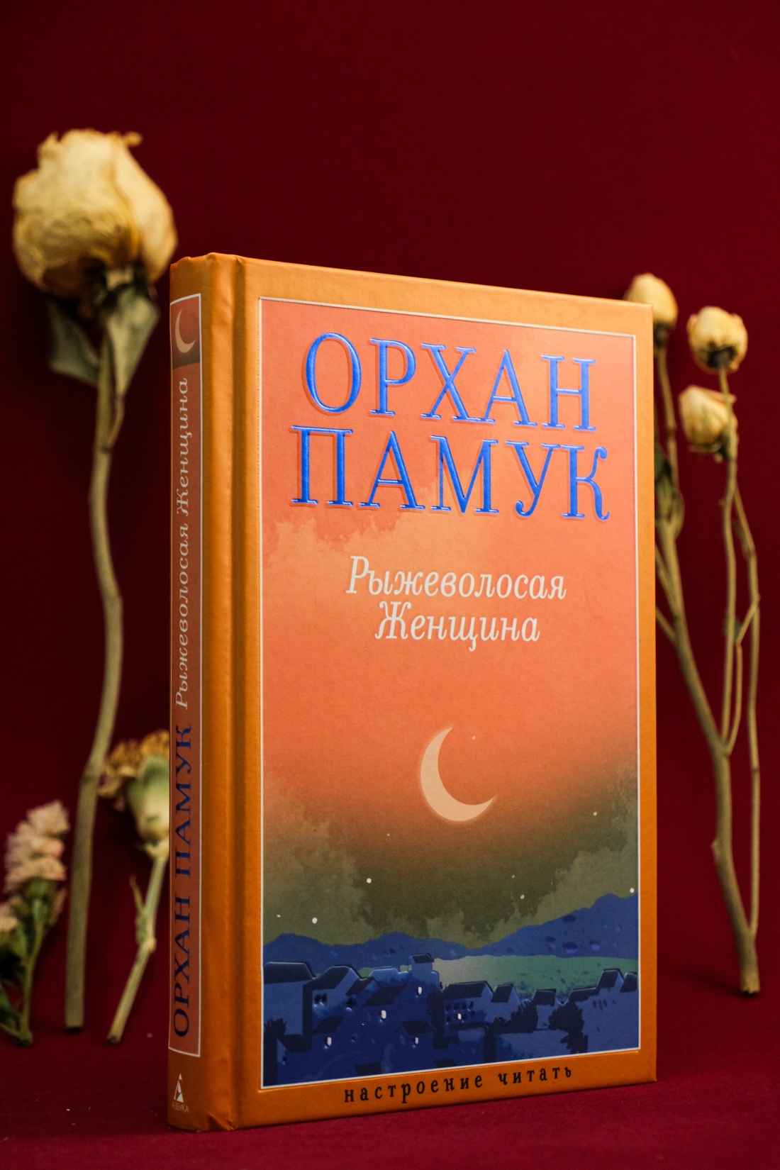 Промо материал к книге "Рыжеволосая Женщина" №3