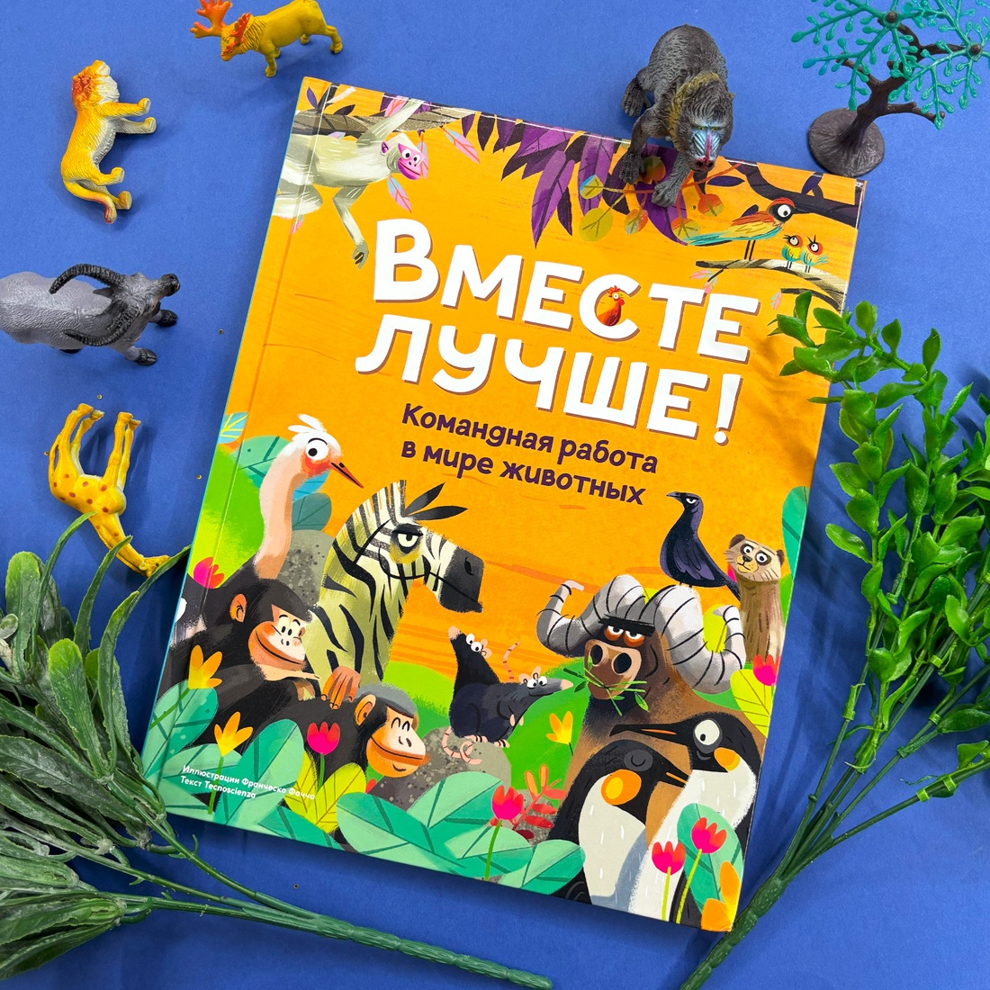 Промо материал к книге "Вместе лучше! Командная работа в мире животных" №0