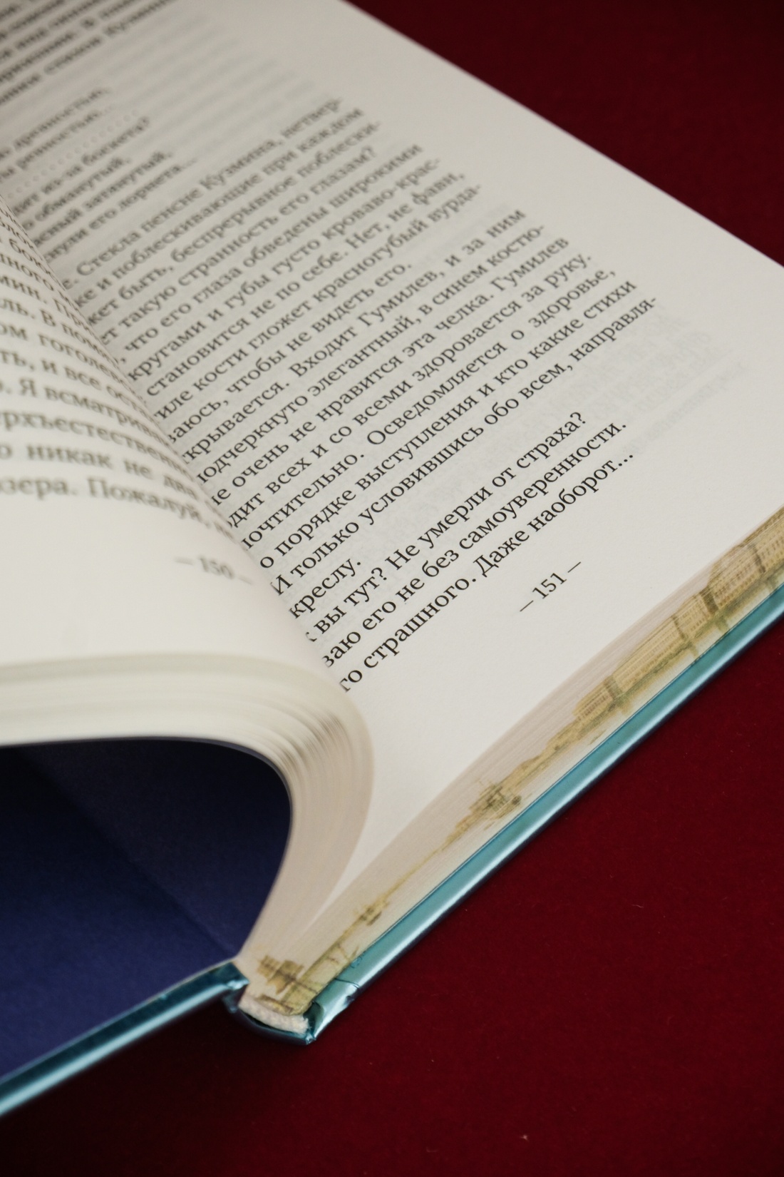 Промо материал к книге "На берегах Невы" №10