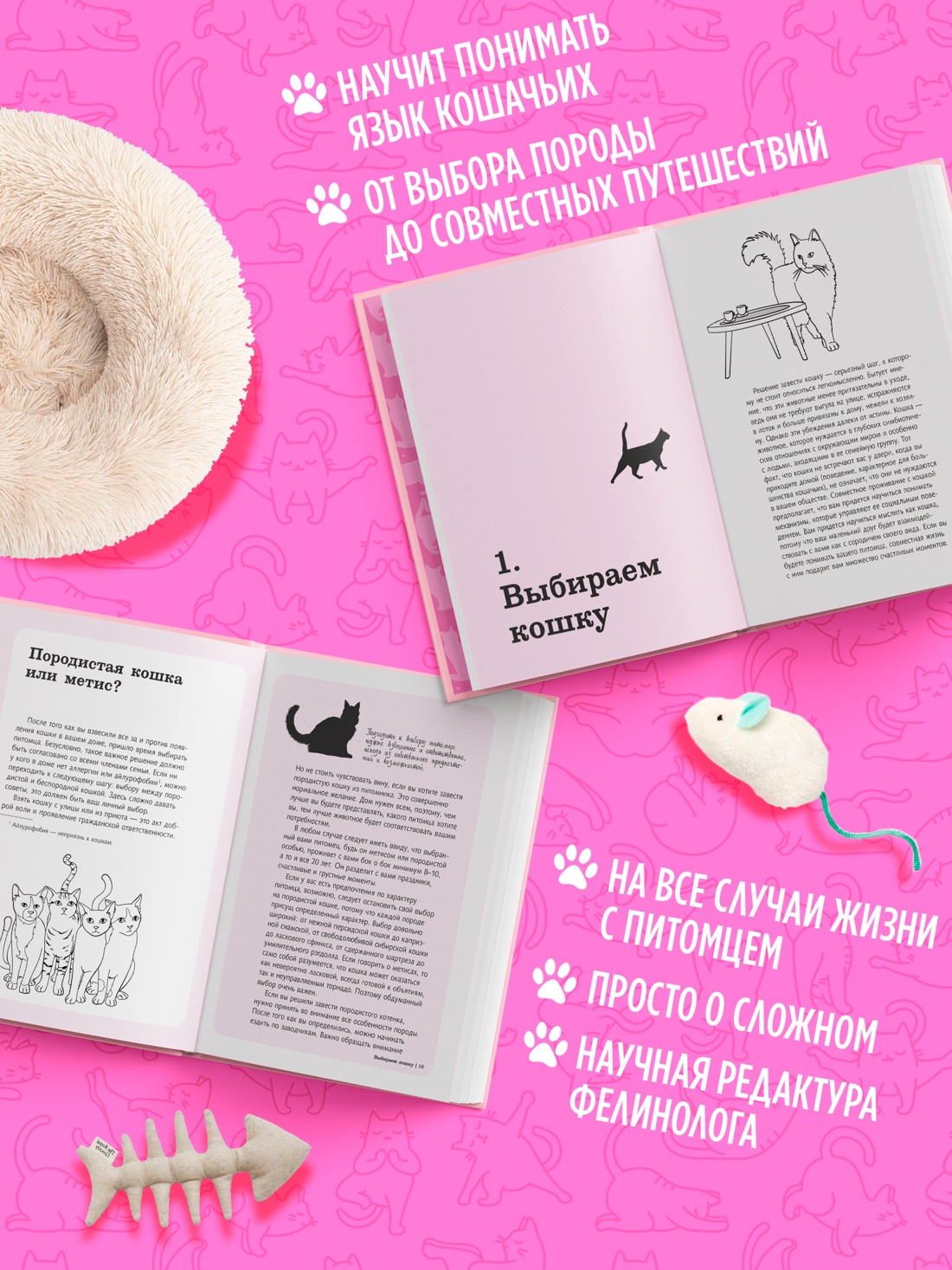 Промо материал к книге "Гладить! Кормить! Любить! Замурчательное пособие по счастливой жизни с кошкой" №1