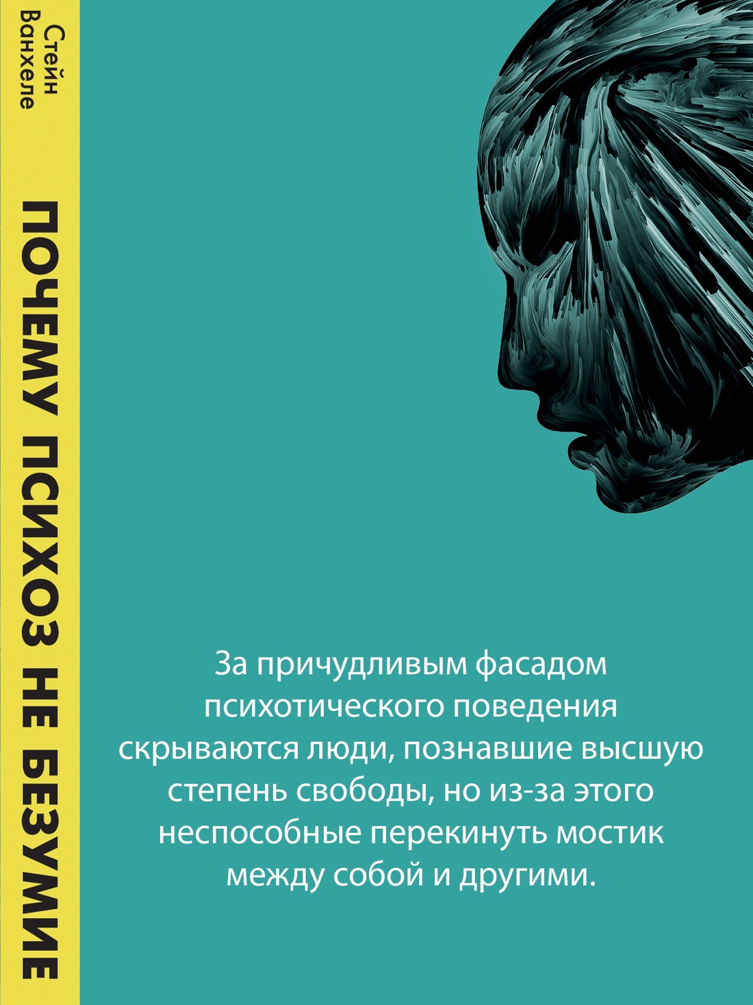 Промо материал к книге "Почему психоз не безумие. Рекомендации для специалистов, пациентов и их родных" №2