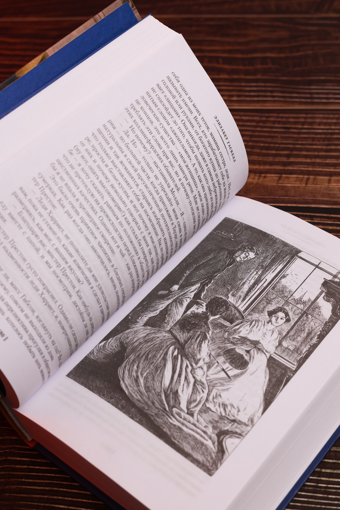 Промо материал к книге "Жены и дочери (с иллюстрациями)" №12