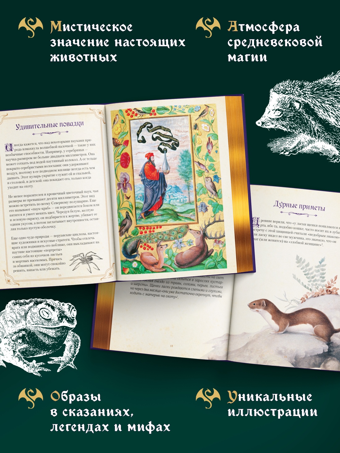 Промо материал к книге "Магические животные. Легенды и суеверия" №1