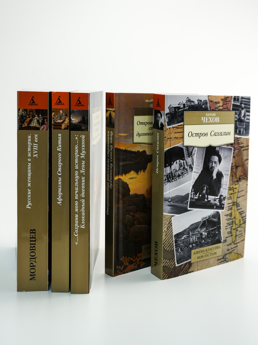 Промо материал к книге "Откровенные рассказы странника духовному своему отцу" №3