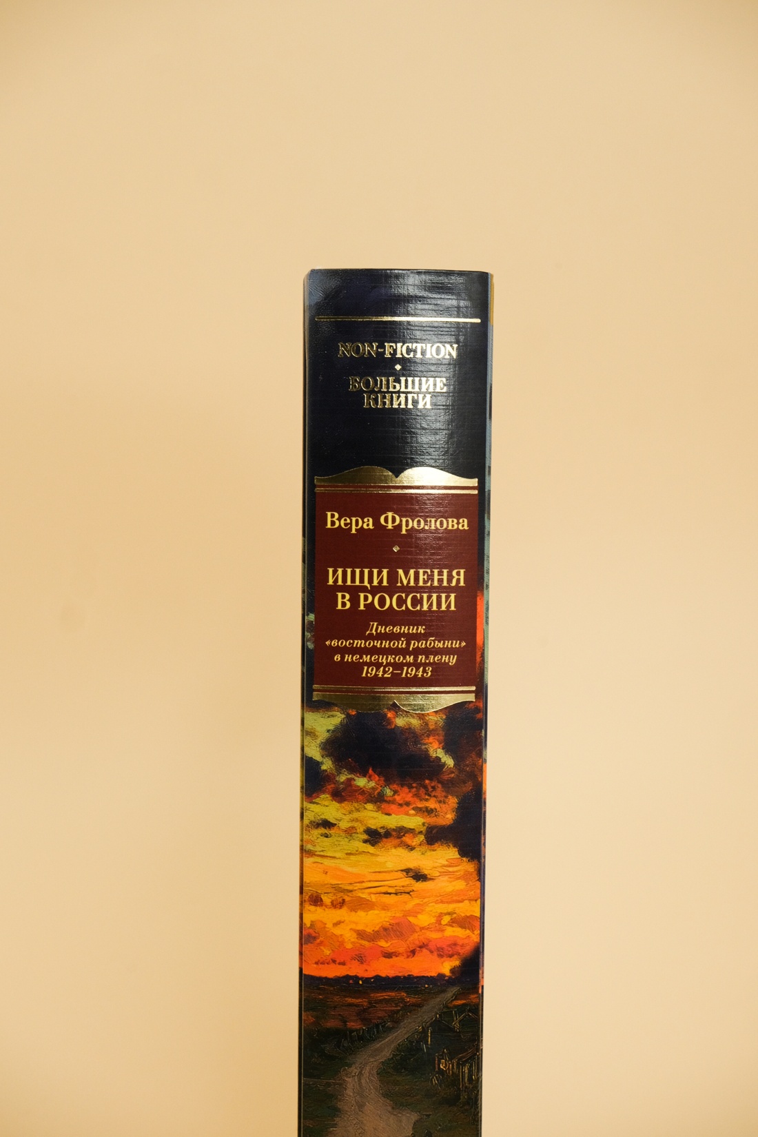 Промо материал к книге "Ищи меня в России. Дневник «восточной рабыни» в немецком плену. 1942–1943" №5