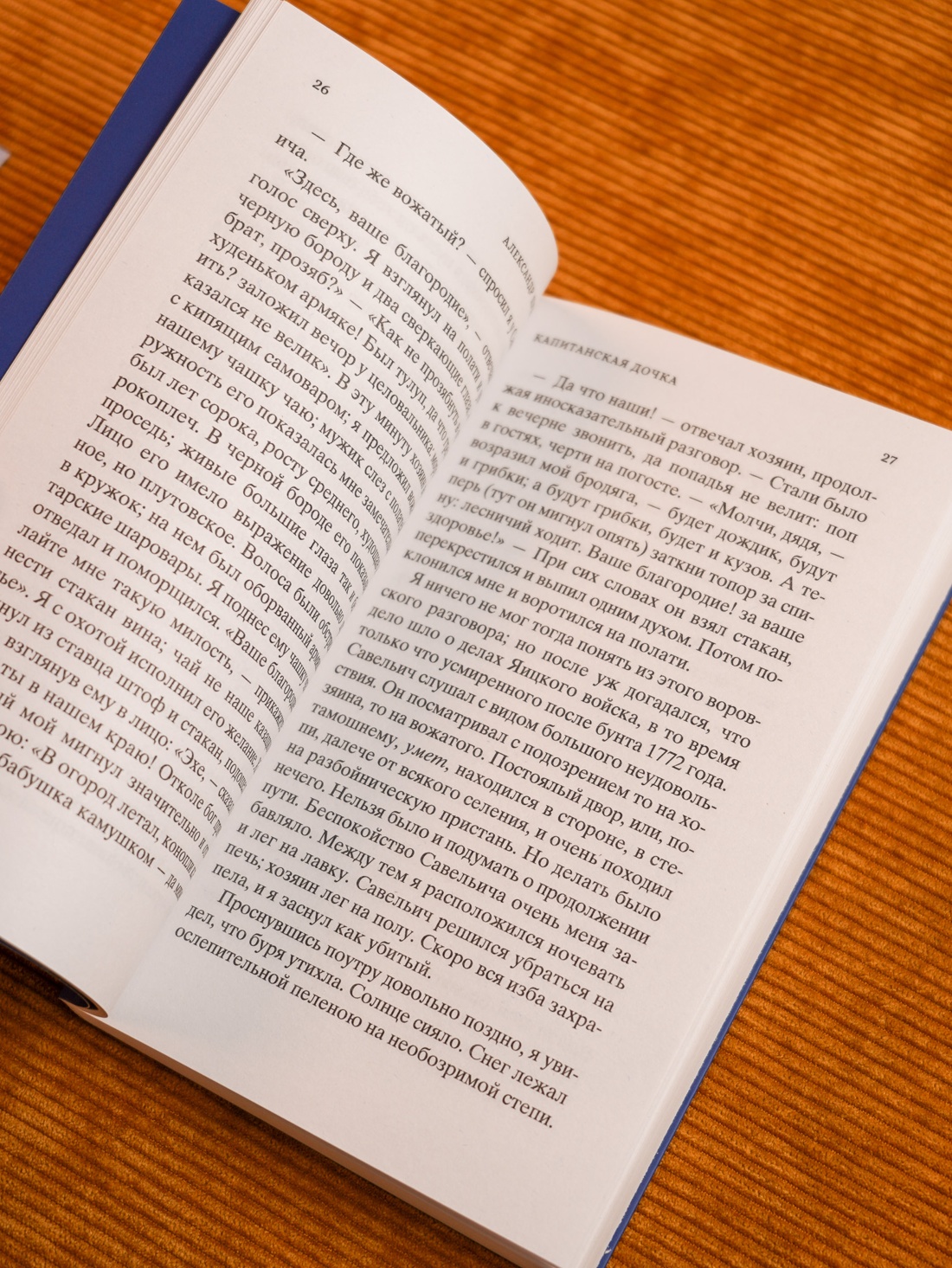 Промо материал к книге "Кастомбук. Капитанская дочка (со стикерами)" №10
