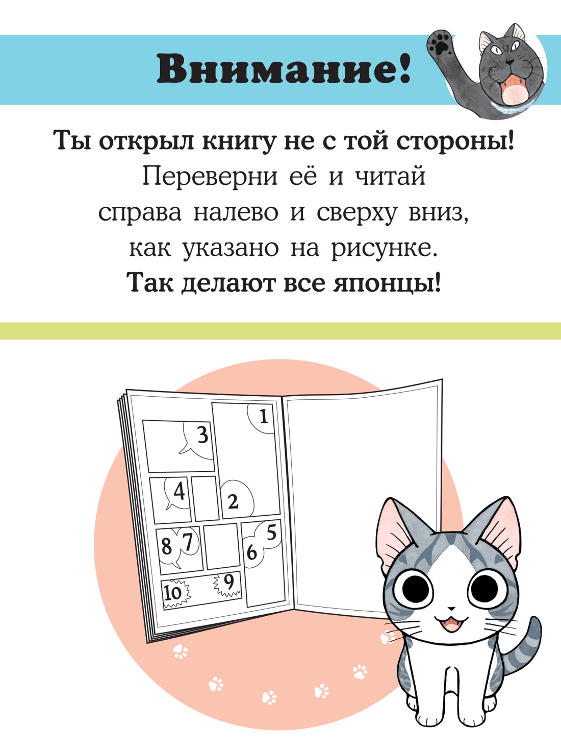 Промо материал к книге "Милый дом Чи. Книга 12" №3