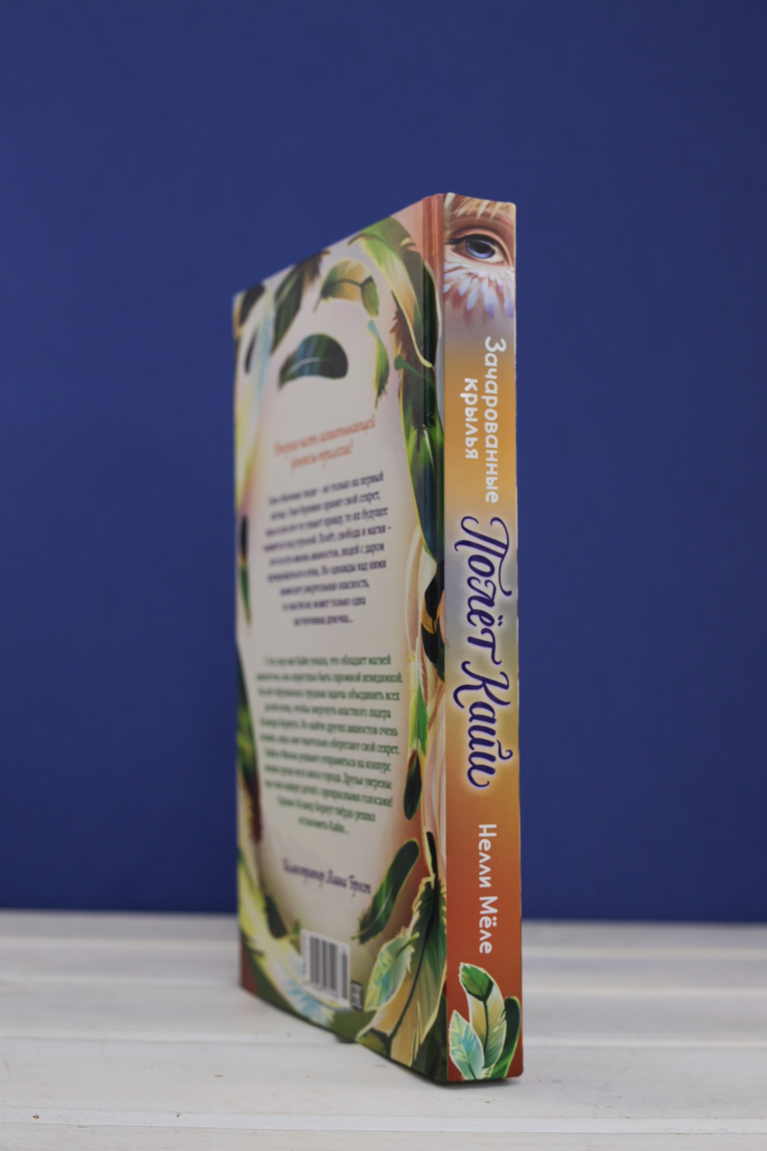 Промо материал к книге "Зачарованные крылья" №5