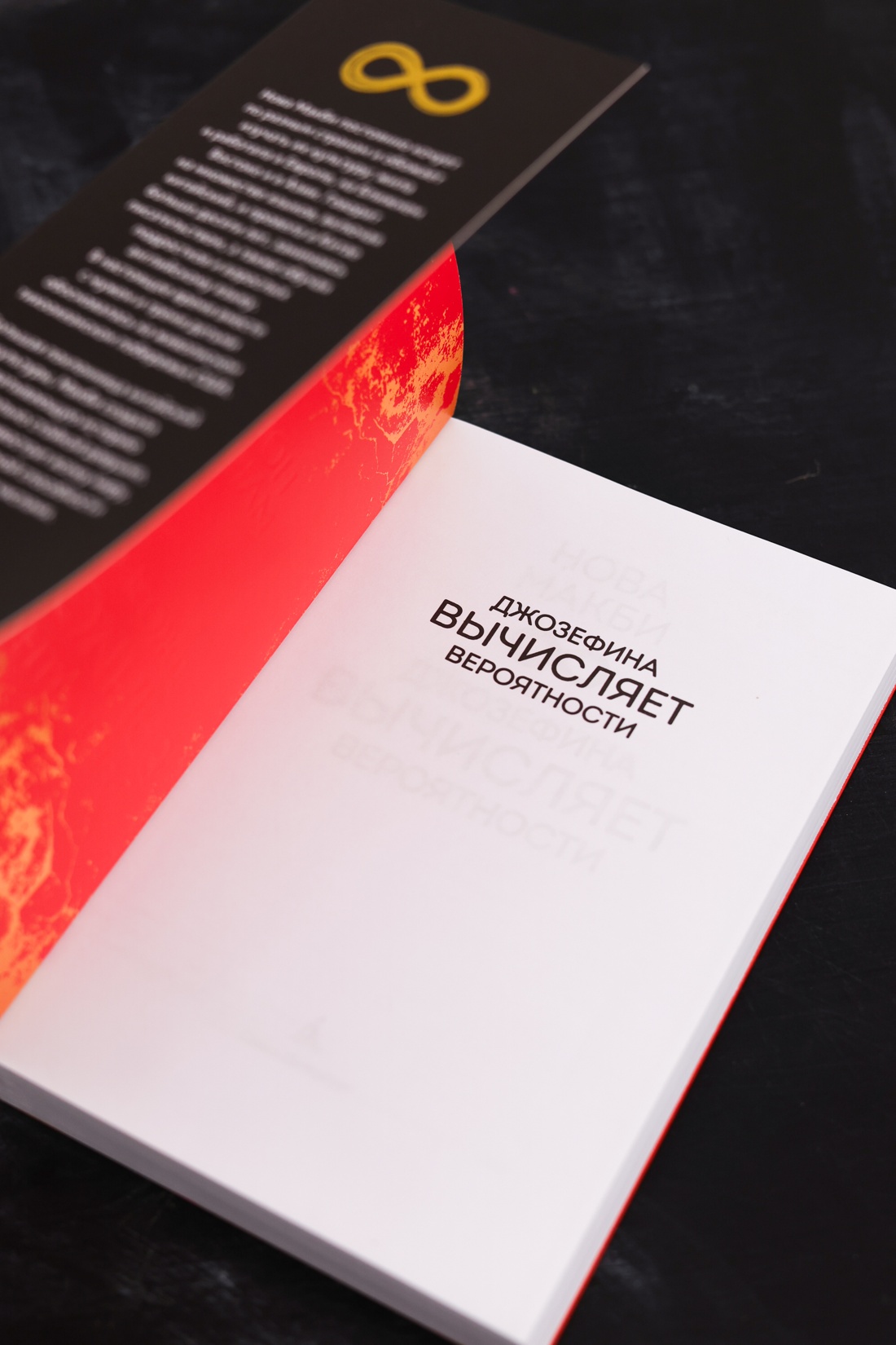 Промо материал к книге "Джозефина вычисляет вероятности" №7