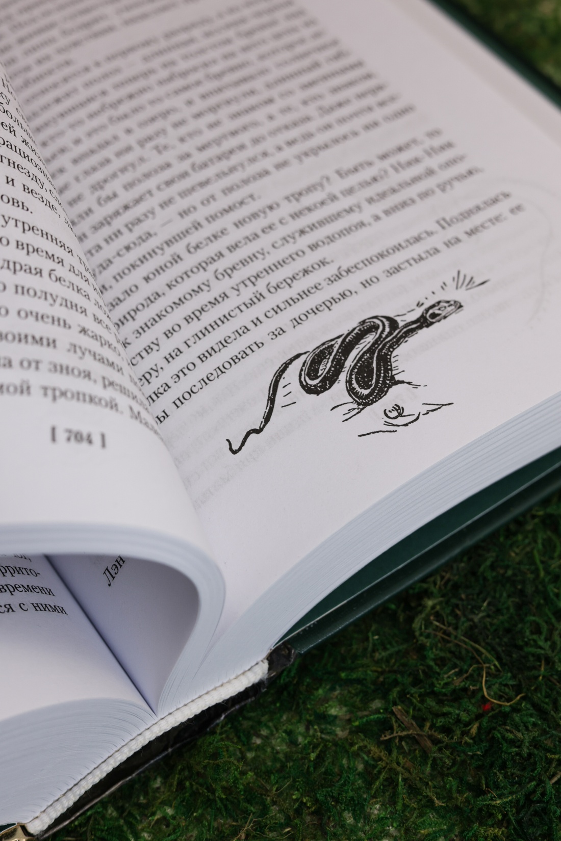 Промо материал к книге "Рольф в лесах. Лесные рассказы" №13