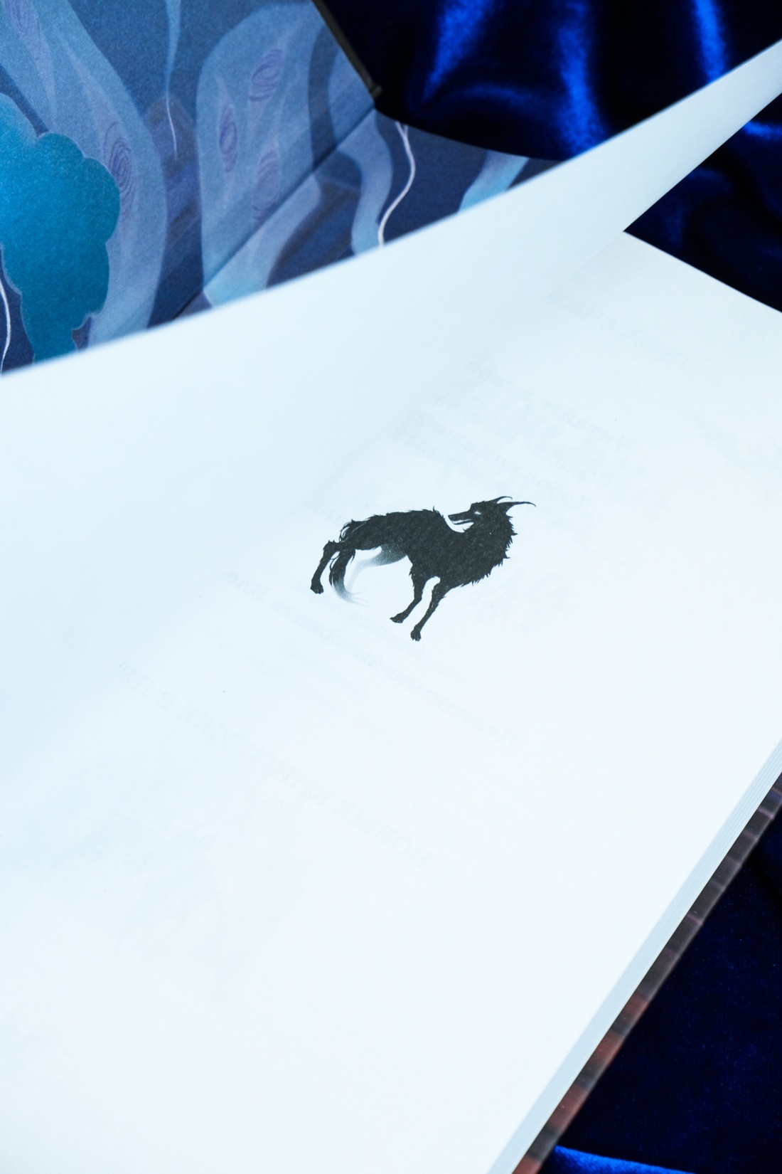 Промо материал к книге "Невидимка интерната Блессвуд" №8