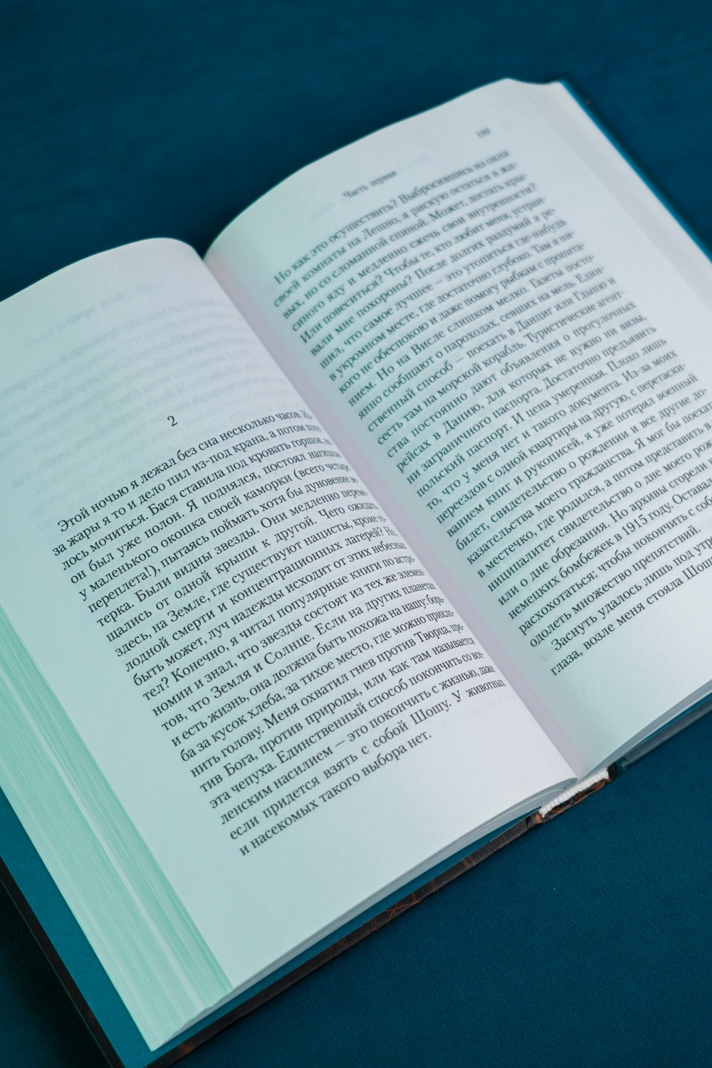 Промо материал к книге "Шоша (твердый)" №8